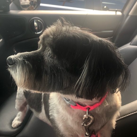 Meet your Posher - Picture 2 of 4